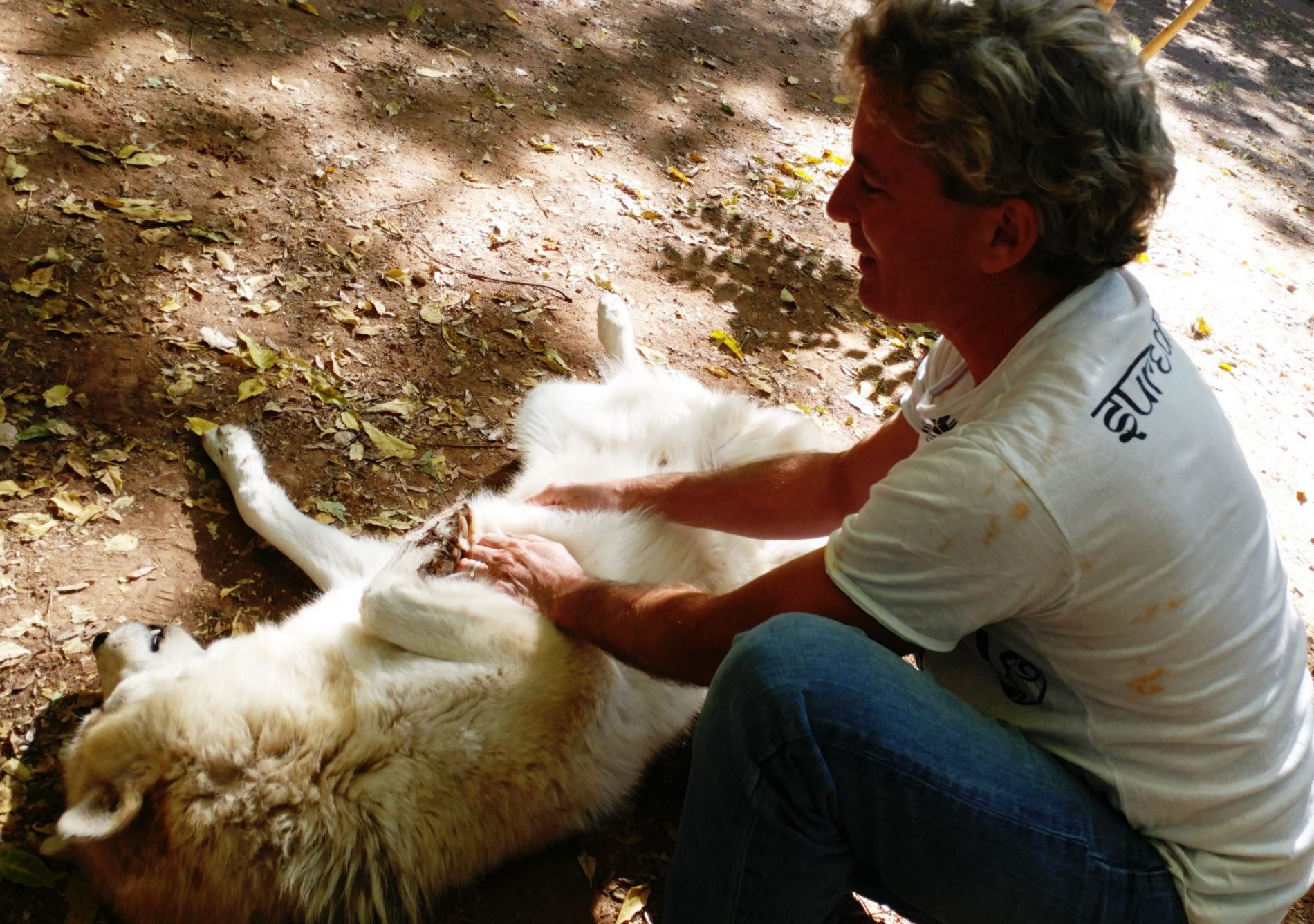 Daniel with Jertoma wolf