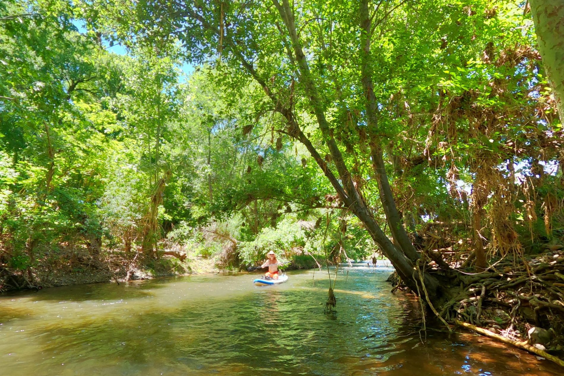 paddleboard Oak Creek